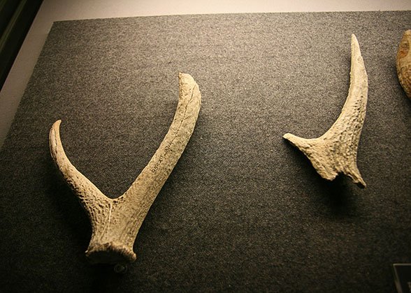 Exhibitions at Hall No.1: Primitive Homeland, Jinsha Site Museum