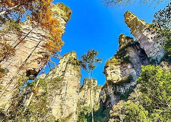 Zhangjiajie National Forest Park