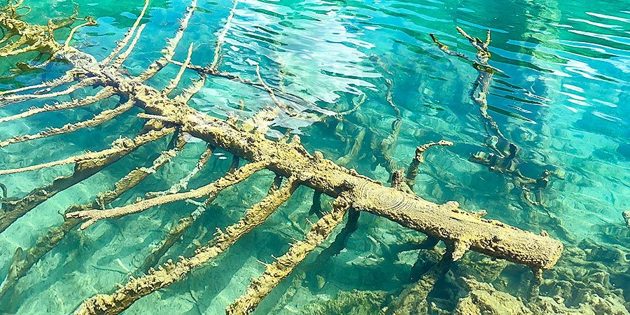Crystal-clear Lake