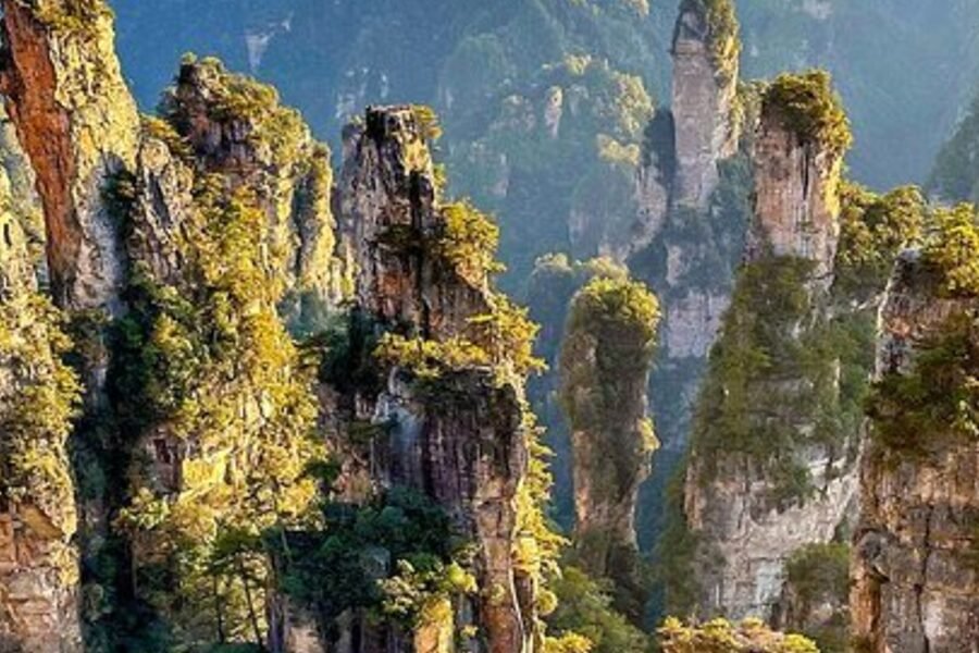 Grand Canyon and Forest Floor during the Incredible Zhangjiajie itinerary