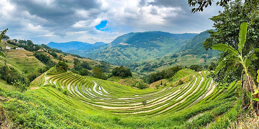 Yuanyang Rice Terrace