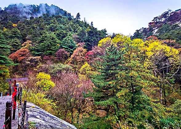 Autumn Leaves in Mt. Huashan