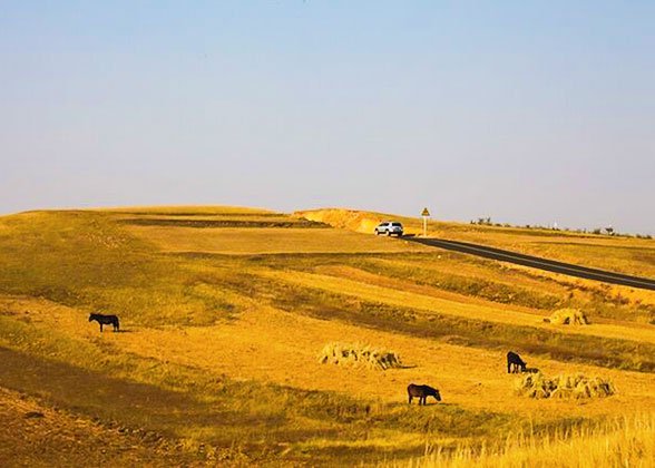 Golden Autumn View