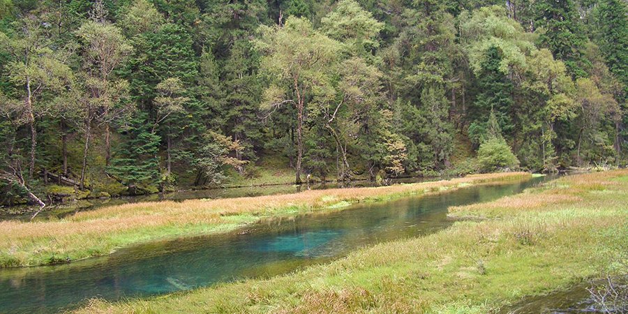 Reed Lake