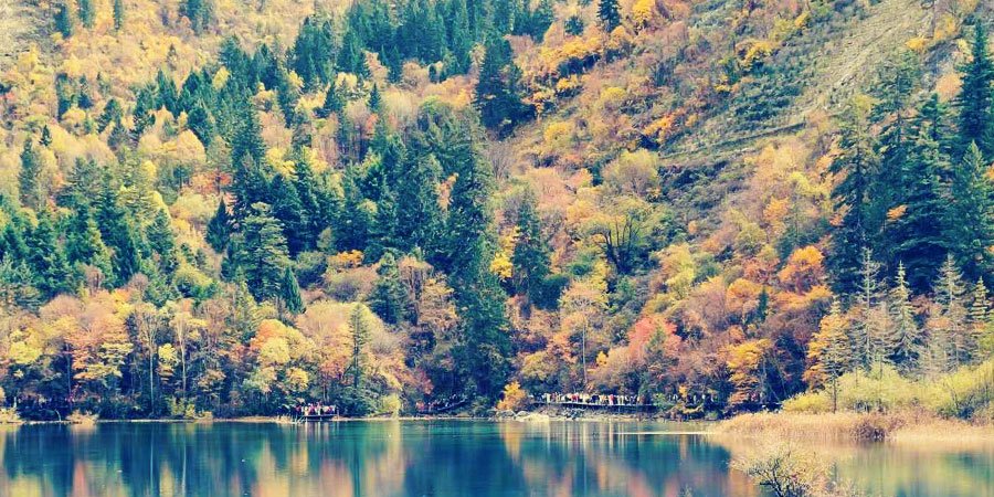Colorful Autumn in Inner Mongolia