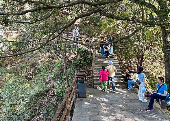 Numerous Stairs in Zhangjiajie Forest Park