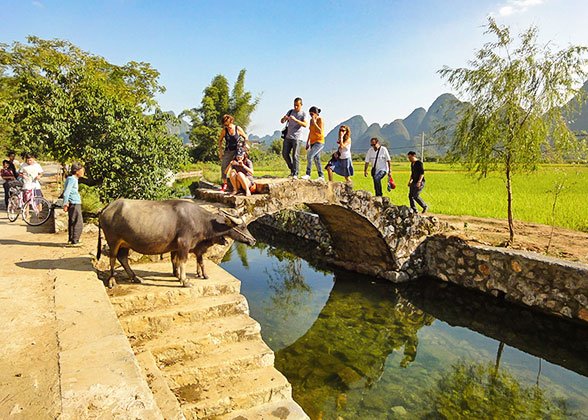 Rural Scenery of Yangshuo Rural Scenery of Yangshuo
