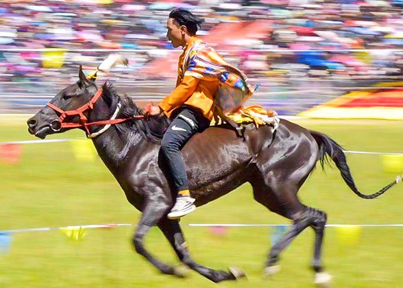 Horse Racing in Hohhot
