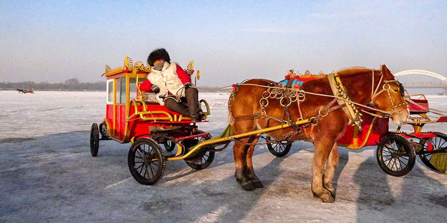Interesting and Unique Winter Activities