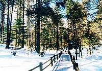 Spruce Plateau