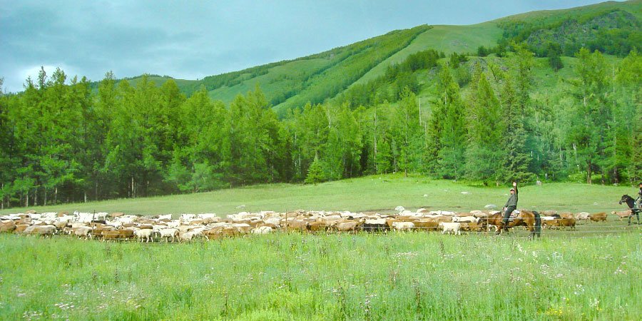 Vibrant Northern Xinjiang from June to August