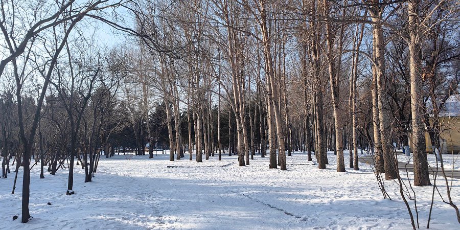 Snow-covered Roads in Inner Mongolia