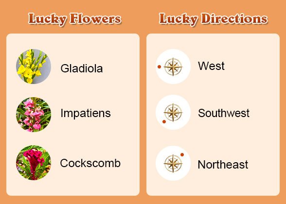 Lucky Flowers and Directions of Rooster