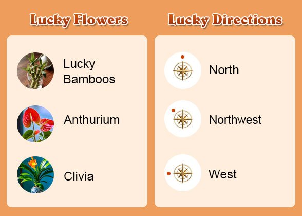Lucky Flowers and Directions of Dragon Lucky Flowers and Directions of Dragon