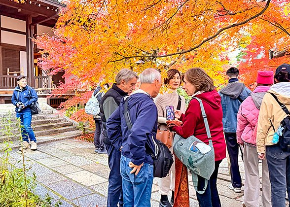Visit the Arashiyama