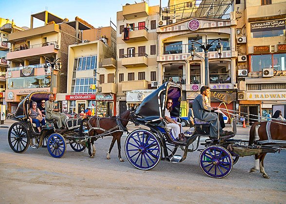 Horse Carriage in Edfu Horse Carriage in Edfu