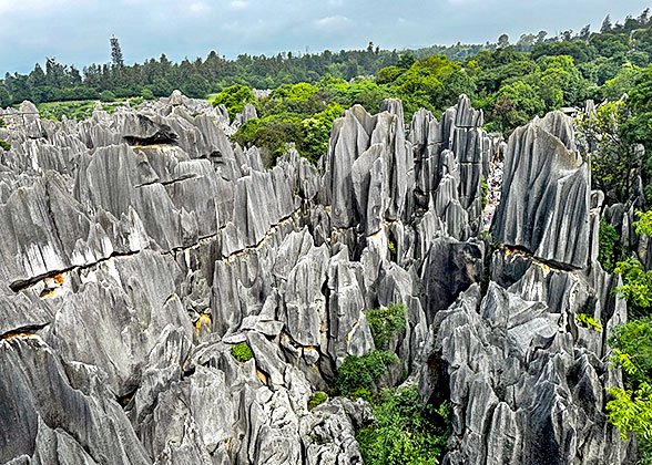 Stone Forest, Kunming
