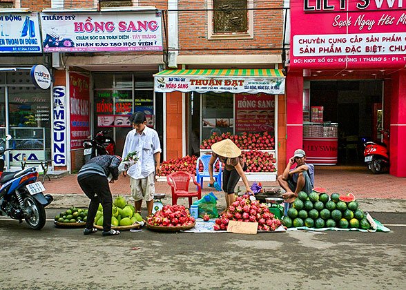 Visit the Local Market