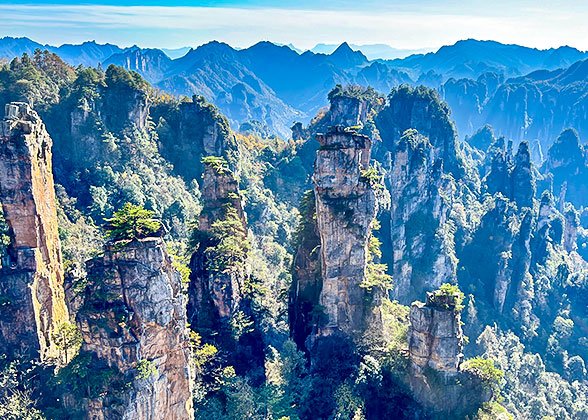Tianzi Mountain Peak Forest Tianzi Mountain Peak Forest
