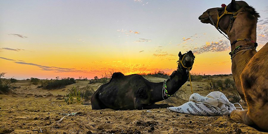 Dessert Sunset Hours