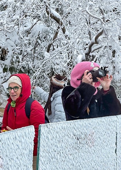 Snowy View at Mount Emei in January
