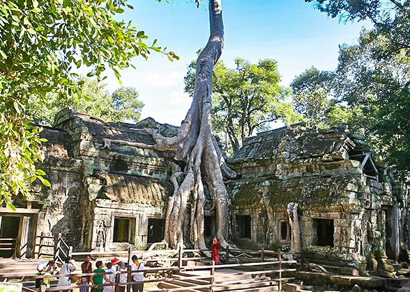 Ta Prohm, Tomb Raider Temple Ta Prohm, Tomb Raider Temple