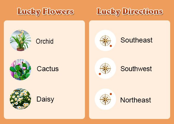 Lucky Flowers and Directions of Snake