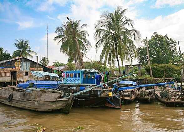 Local Fish Village Local Fish Village