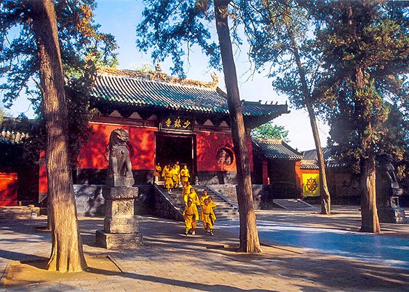 Shaolin Temple Shaolin Temple