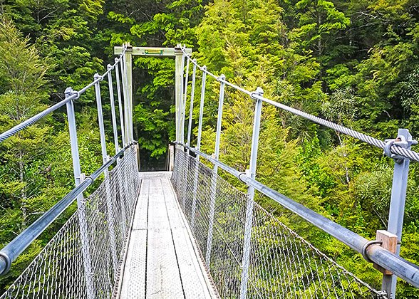 Canopy Walkway Canopy Walkway