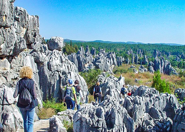 Visit the Stone Forest