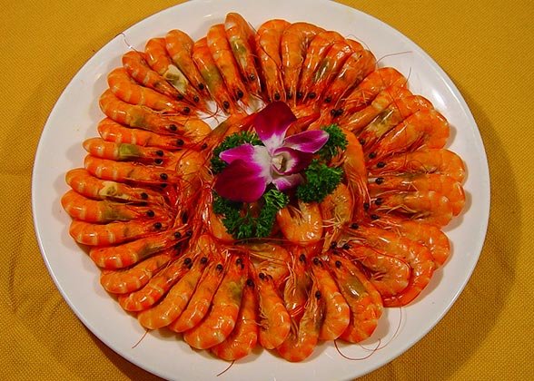 Shrimp Shrimp