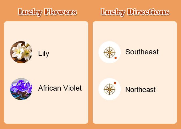 Lucky Flowers and Directions of Rat Lucky Flowers and Directions of Rat