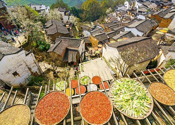 “Harvest Drying” Scene at Huangling Village