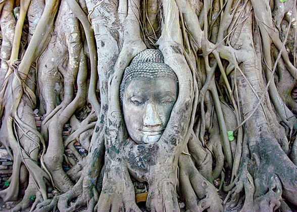 Wat Mahathat, Ayutthaya Wat Mahathat, Ayutthaya