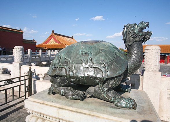 Tortoise in Forbidden City